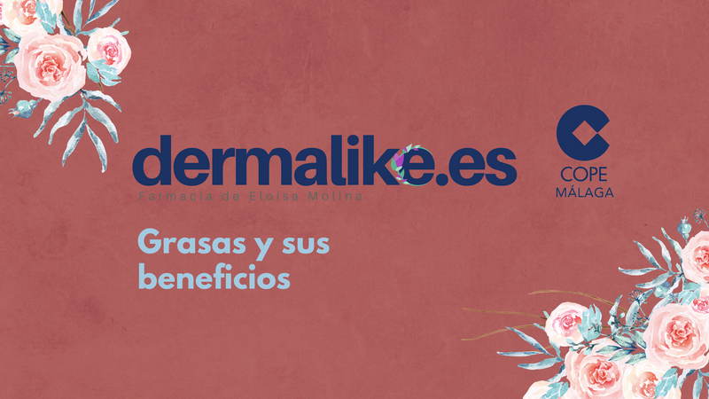 Hablamos de las grasas y sus beneficios.