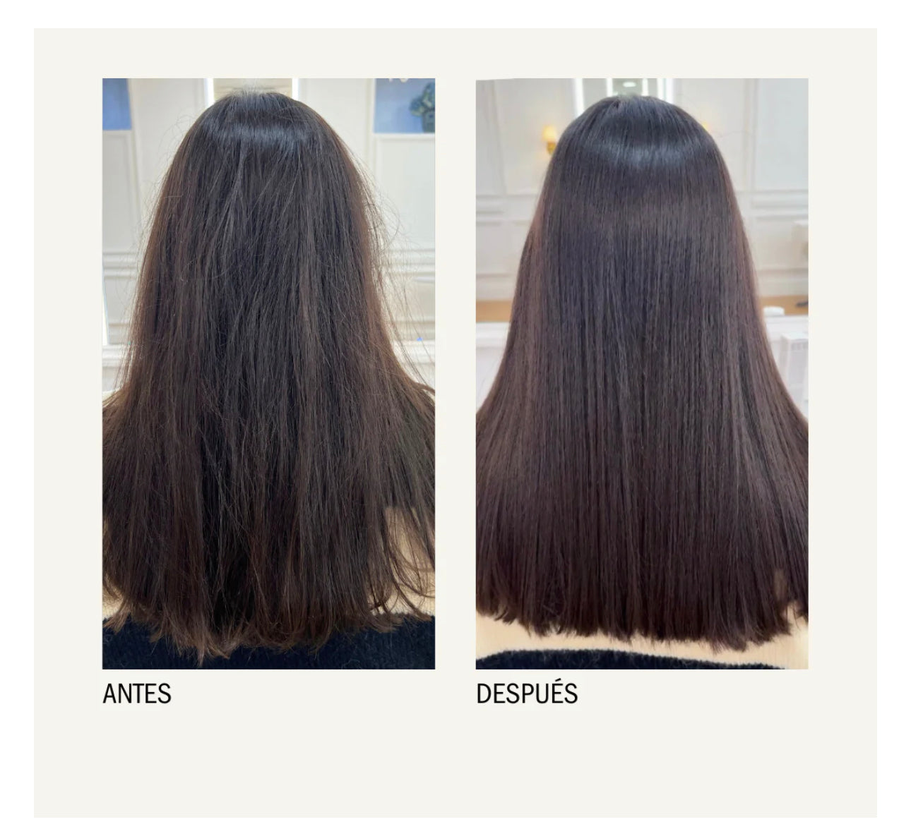 MONCHO MORENO MAGIC BRUSH