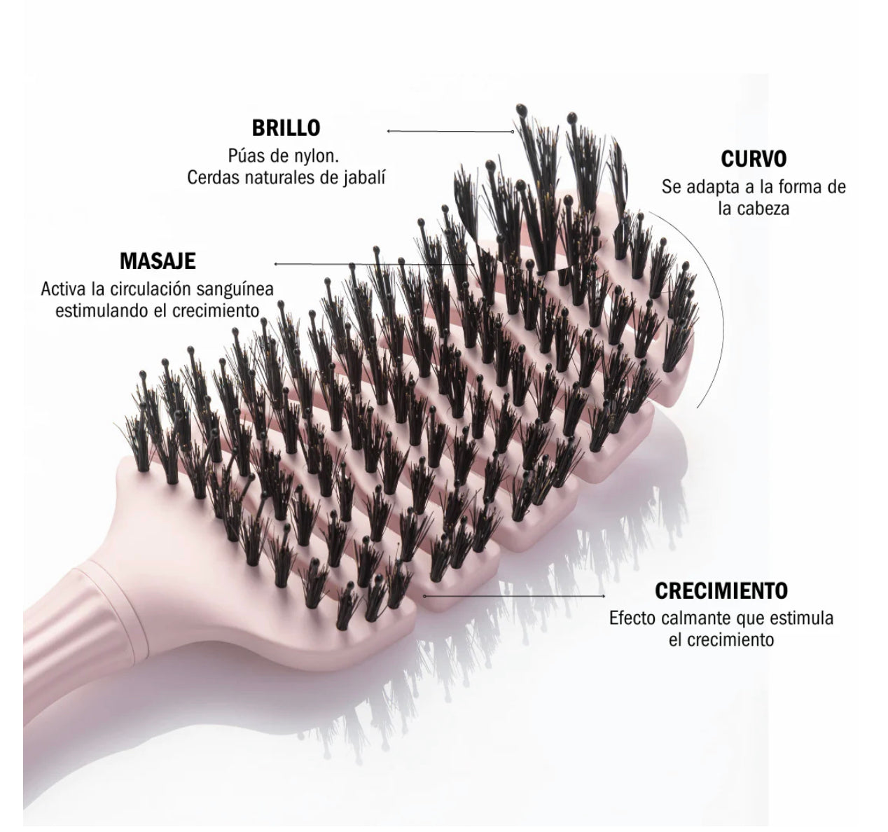 MONCHO MORENO MAGIC BRUSH